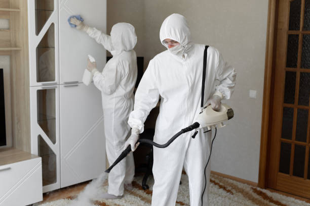 Affordable Sewage Cleanup solutions in Thornton, NH